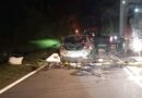 mib Wild elephants have destroyed a vehicle in Malaysia during a rampage believed to have been caused by the sound of tooting car horns
