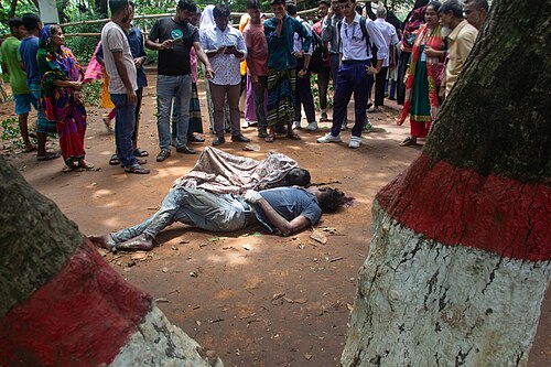 killed in political violence in Bangladesh in the year